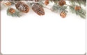 Front Template 0091 - Evergreen Twig